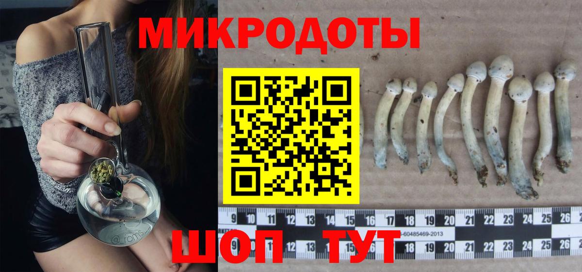 Батайск  Псилоцибиновые грибы прущие грибы  Вход с VPN 