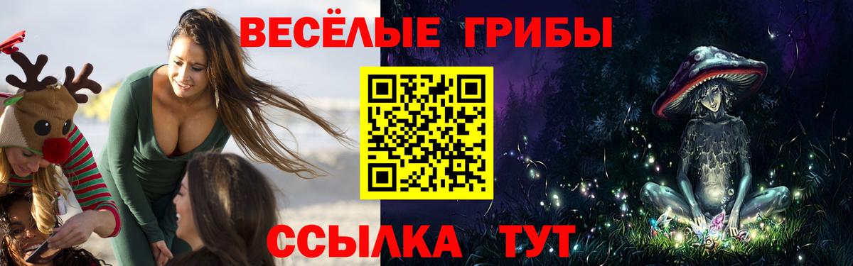 Псилоцибиновые грибы Magic Shrooms Батайск